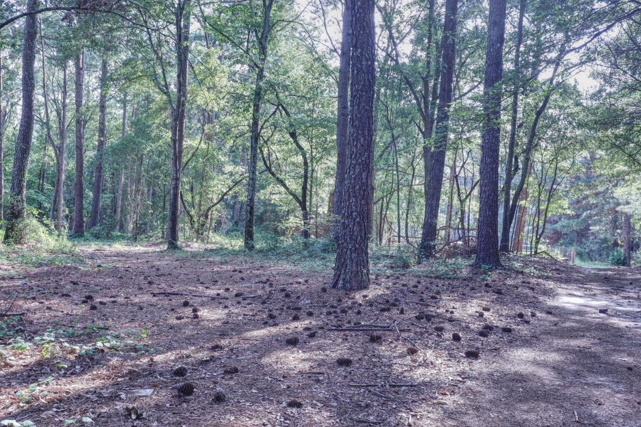 Turnkey Country Retreat on 8 Private Acres - photo 25