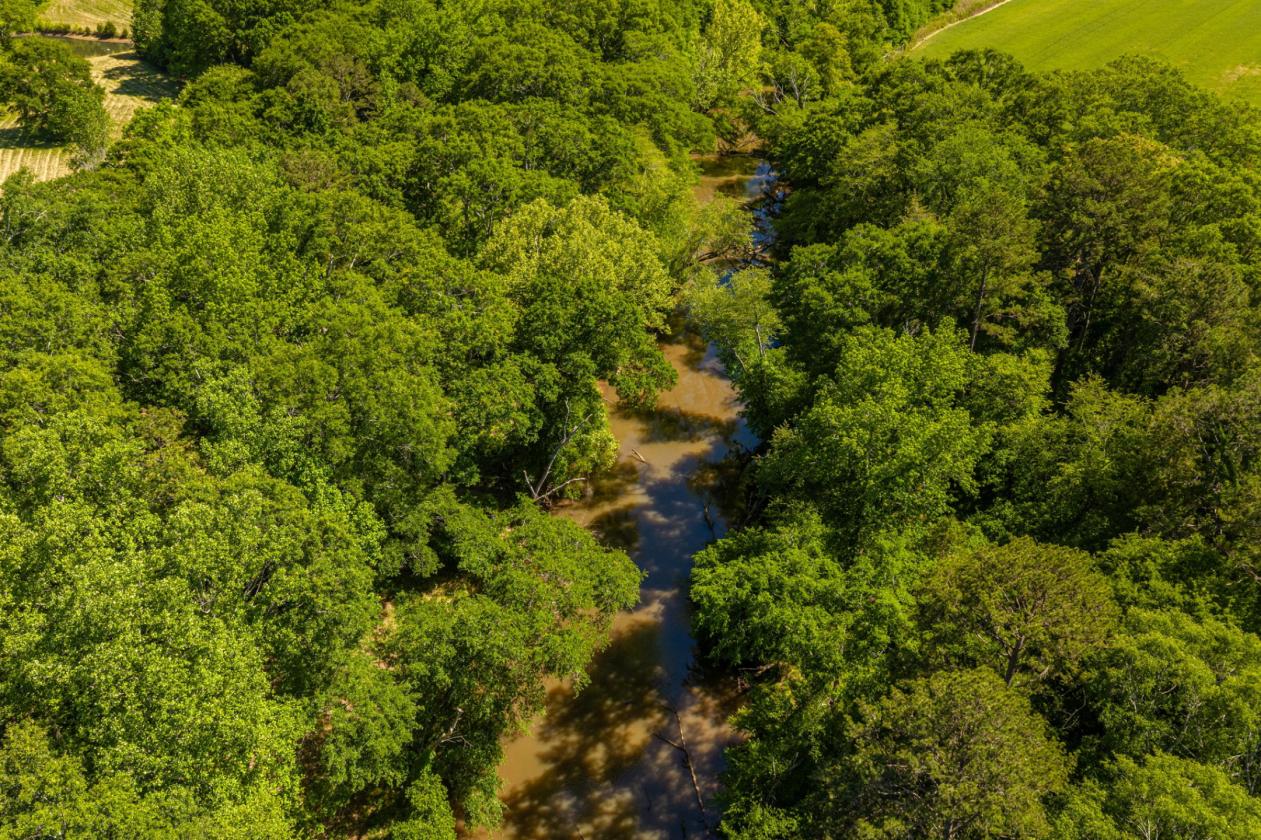 25-acre estate with river frontage and barn - photo 27