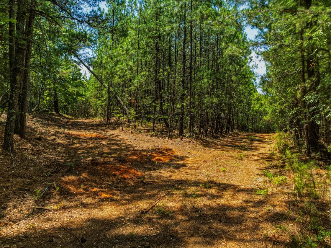 Loblolly Farm Tryon - photo 6