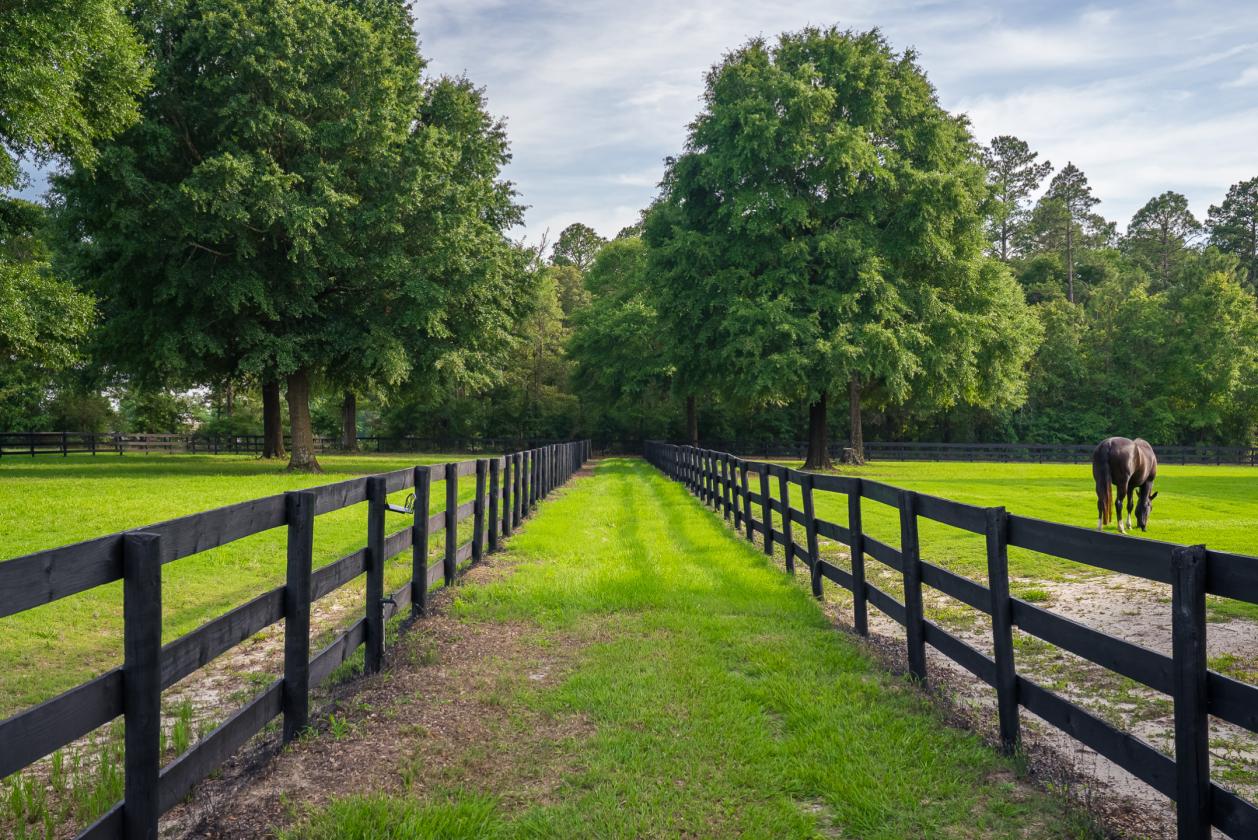 Oak Haven Farm - 302 Equestrian Corridor - photo 22