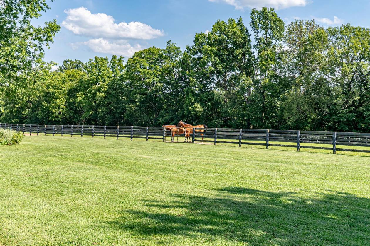 Equestrian Estate in Shelby County, Kentucky Shelbyville, Shelby