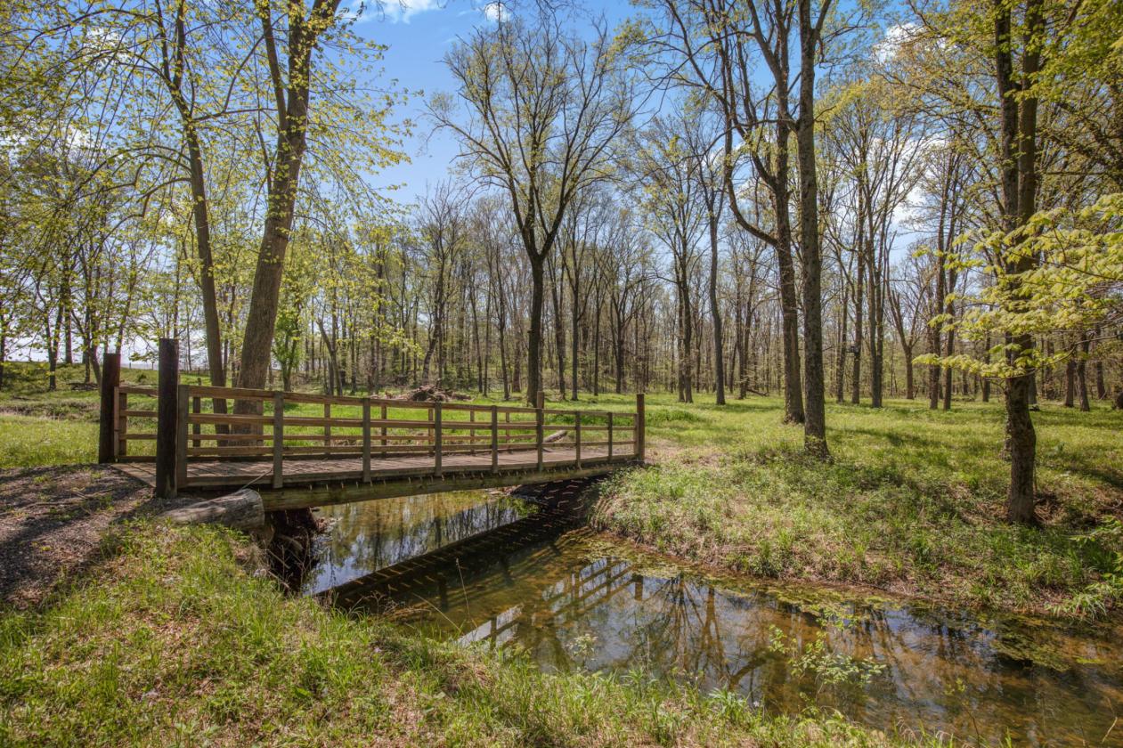 Equestrian Estate or Corporate Retreat near LEAP - photo 28