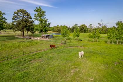 Property image.