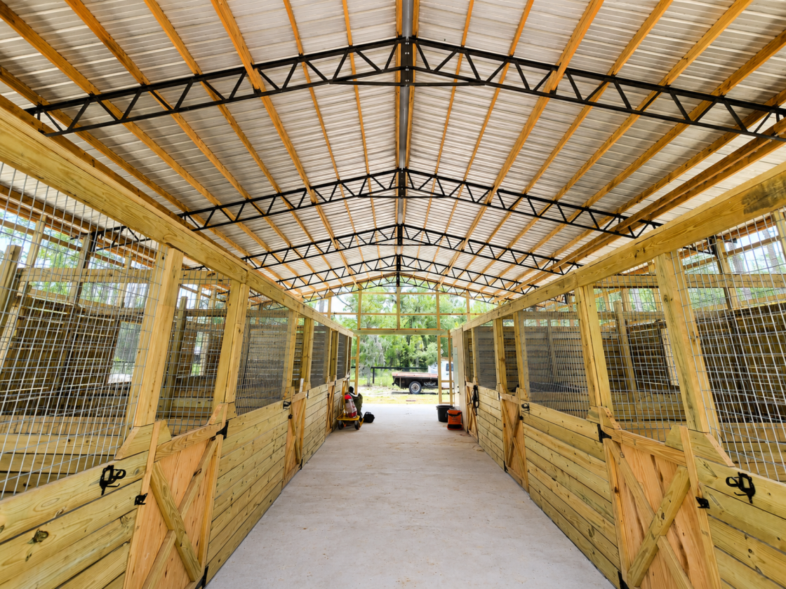 Turnkey Equestrian Farm | 7 Stalls, Arena - photo 4