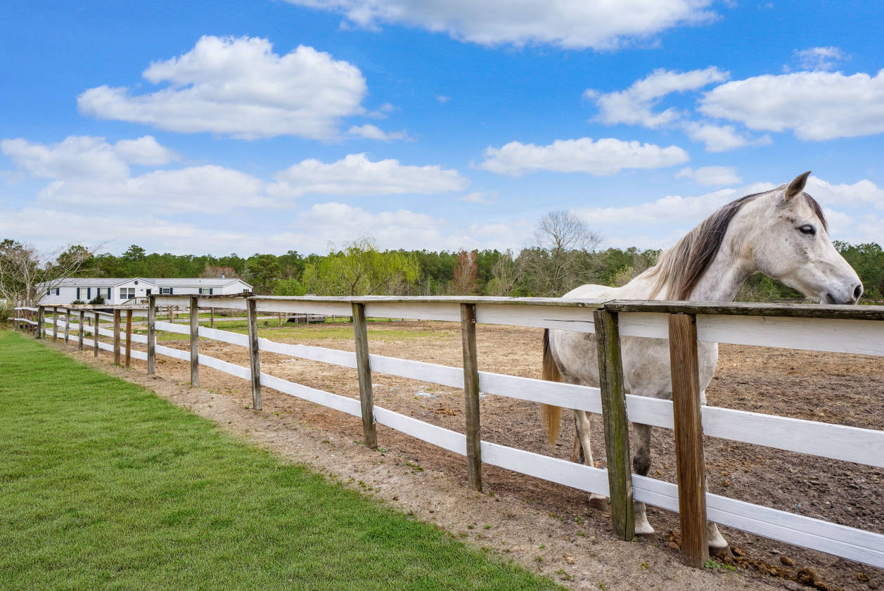 Over 25 ACRE Horse Farm in Eastern NC! Two 11Stall... Richlands