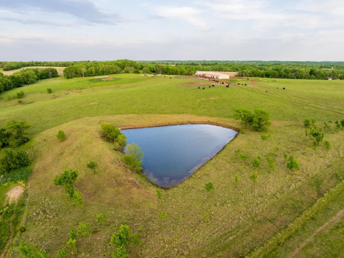 273.5 +/- Acre Turn-Key Cattle and Horse Property - photo 8