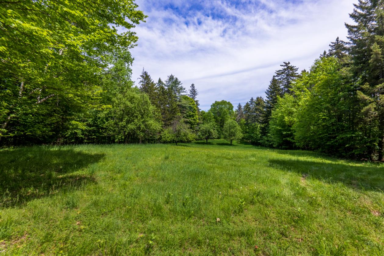 Equestrian Paradise in Picturesque Strafford - photo 15