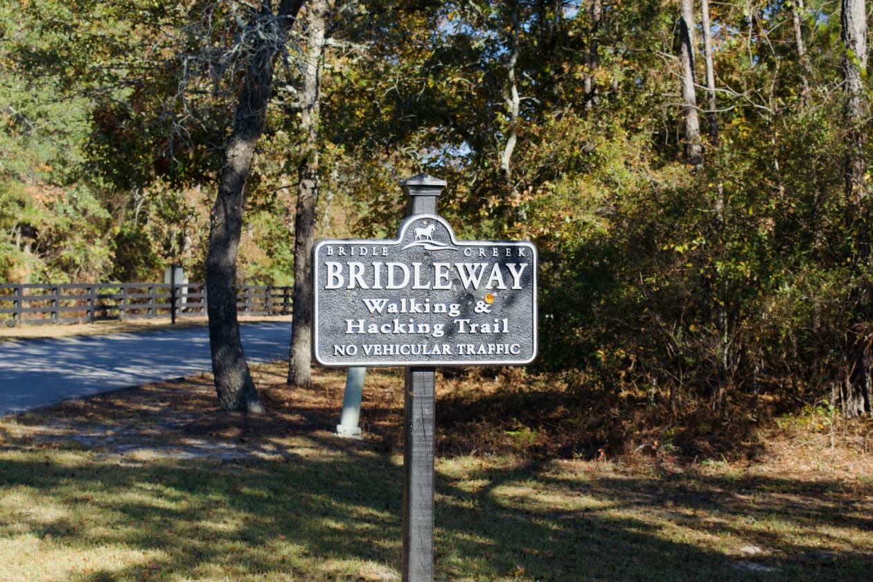 An Equestrian retreat in the heart of Bridle Creek - photo 23