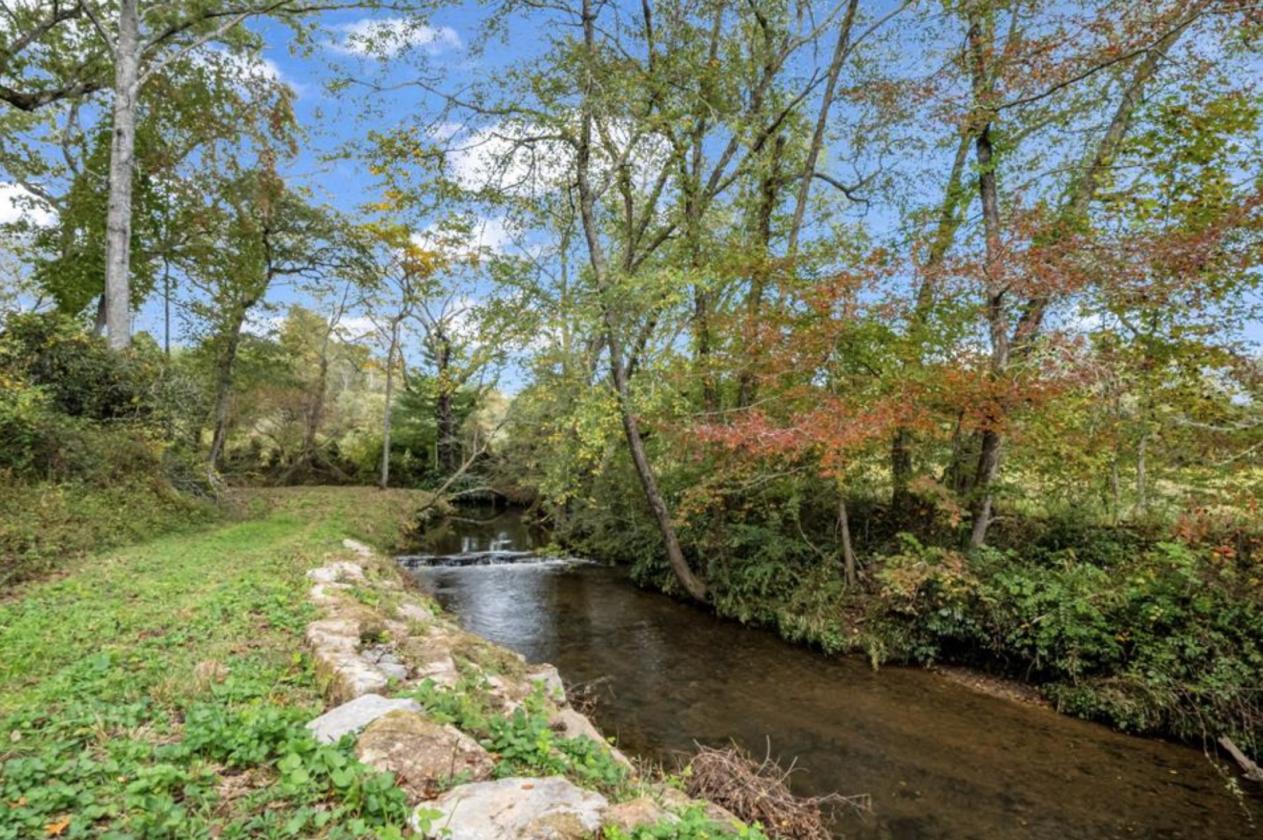 Nearly 50 Acres, Close to Asheville - photo 10