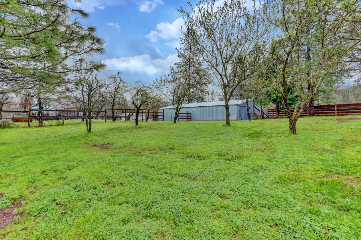 Country Living with Horse Potential - photo 18