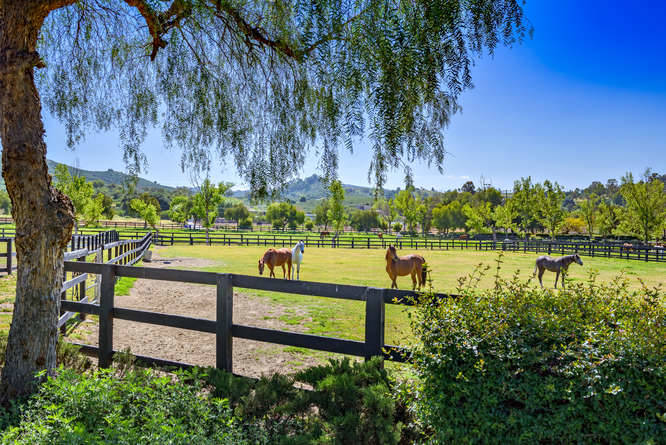 Horse Ranches For Sale in California, Horse Property For Sale in CA