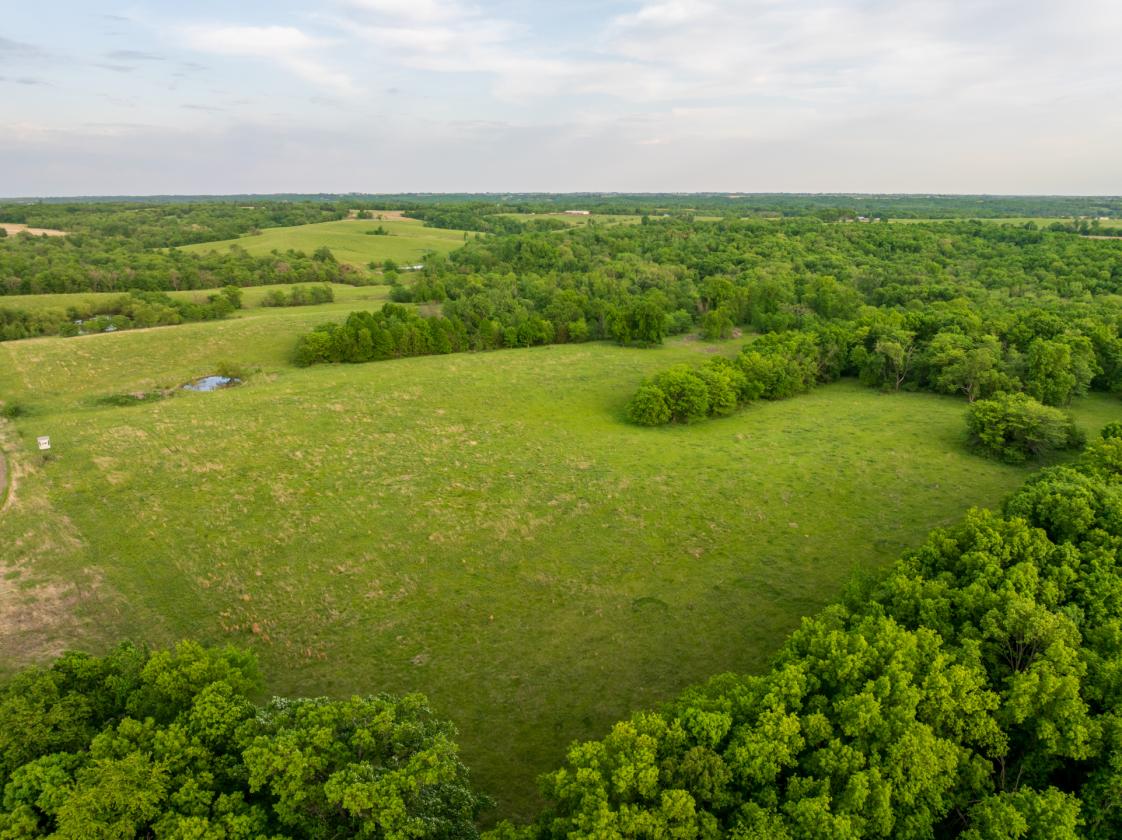 273.5 +/- Acre Turn-Key Cattle and Horse Property - photo 16