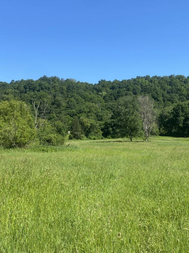 Deep River Farm - photo 8