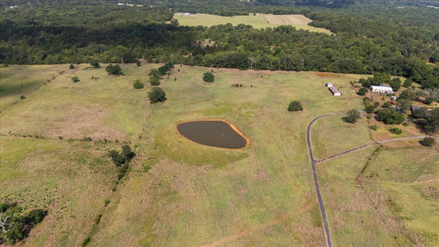 Hickory Hills Farm - 52 acres - photo 4