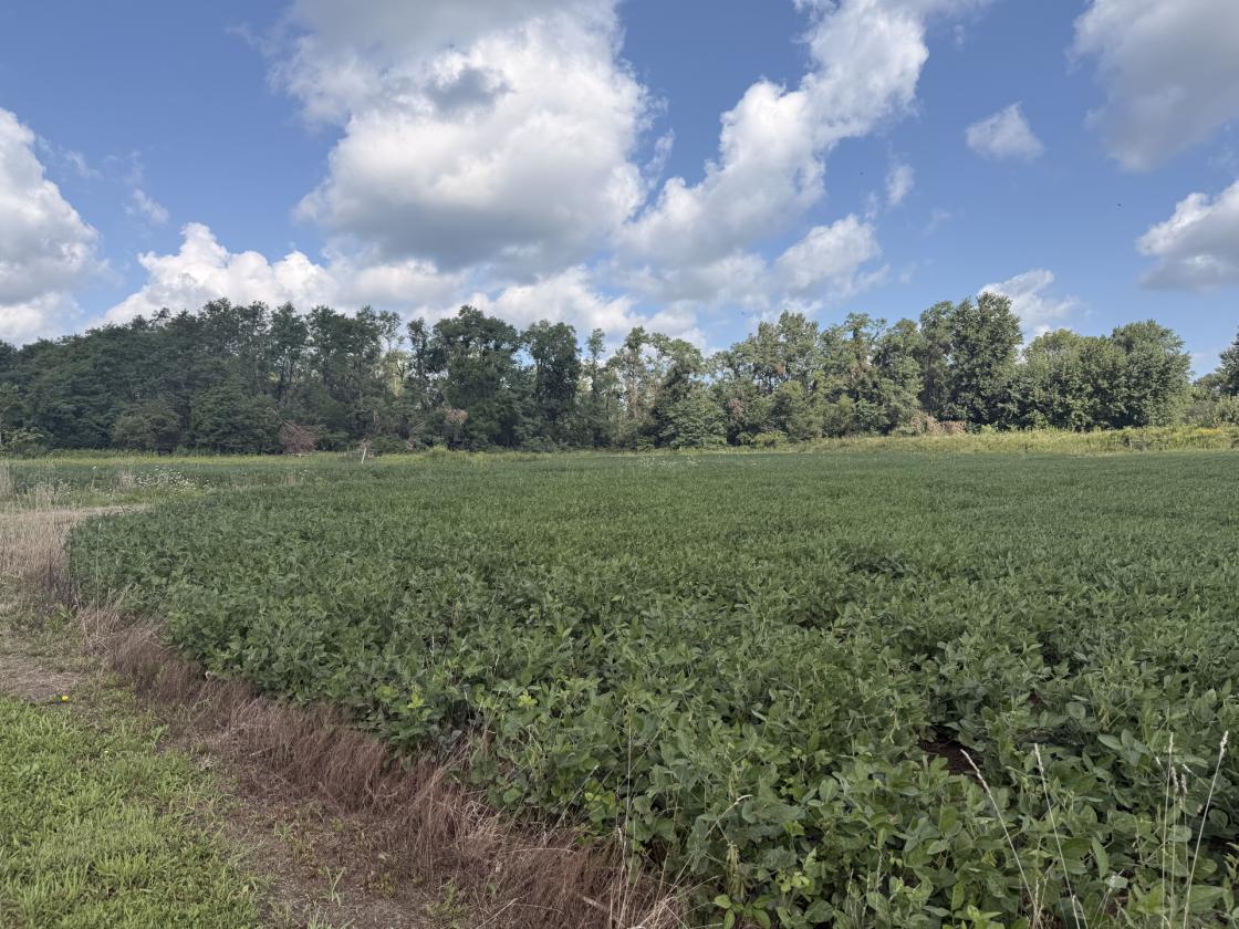 Secluded 18-Acre Hobby Farm & Horse Property - photo 9