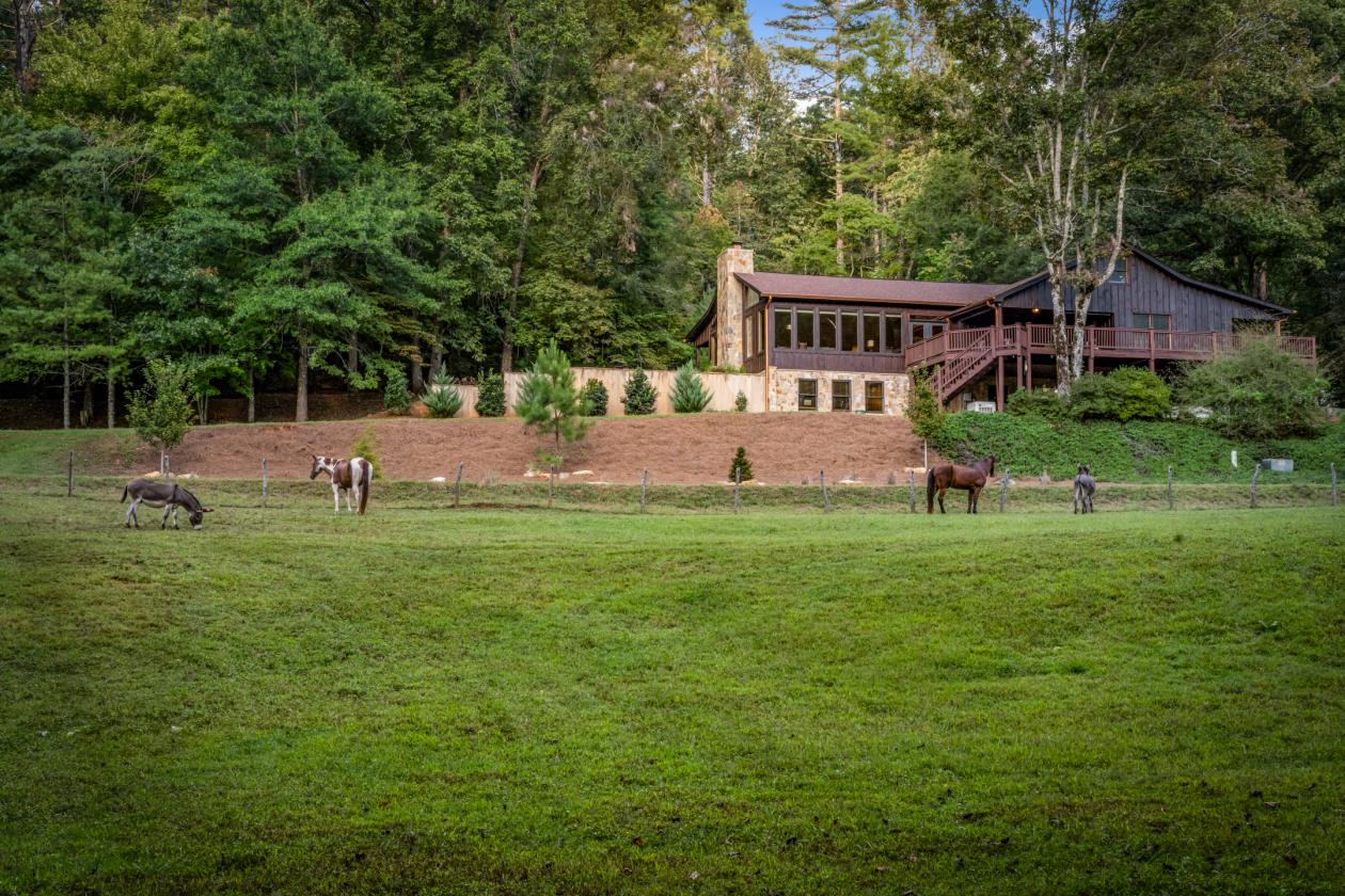 WHAT IF YOUR BACKYARD WAS USFS LAND? - photo 23