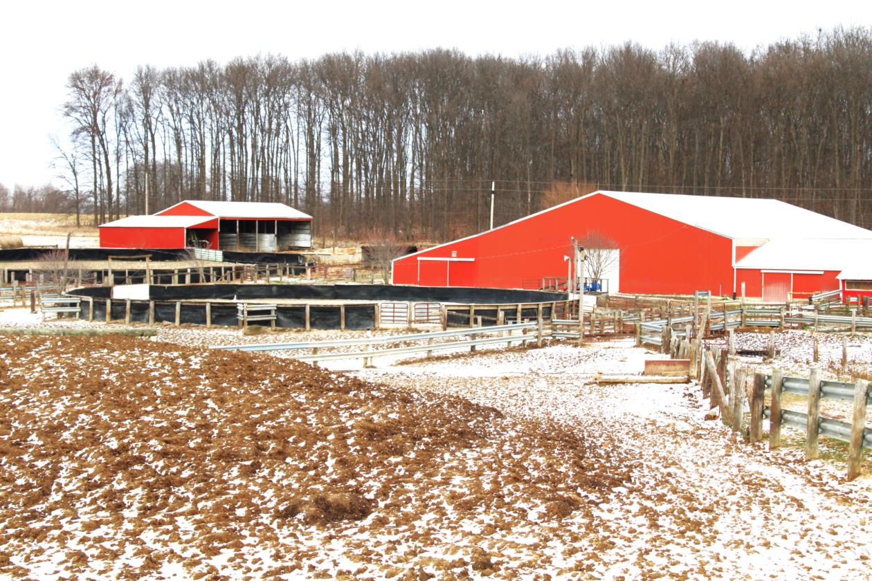 Central Indiana Horse Training & Boarding Facility - photo 30