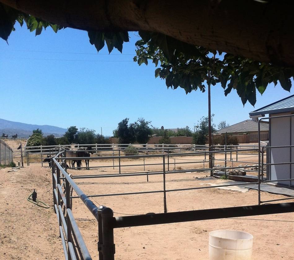 Southern California Ranch Style Home with a 2 Acre Working Horse Ranch