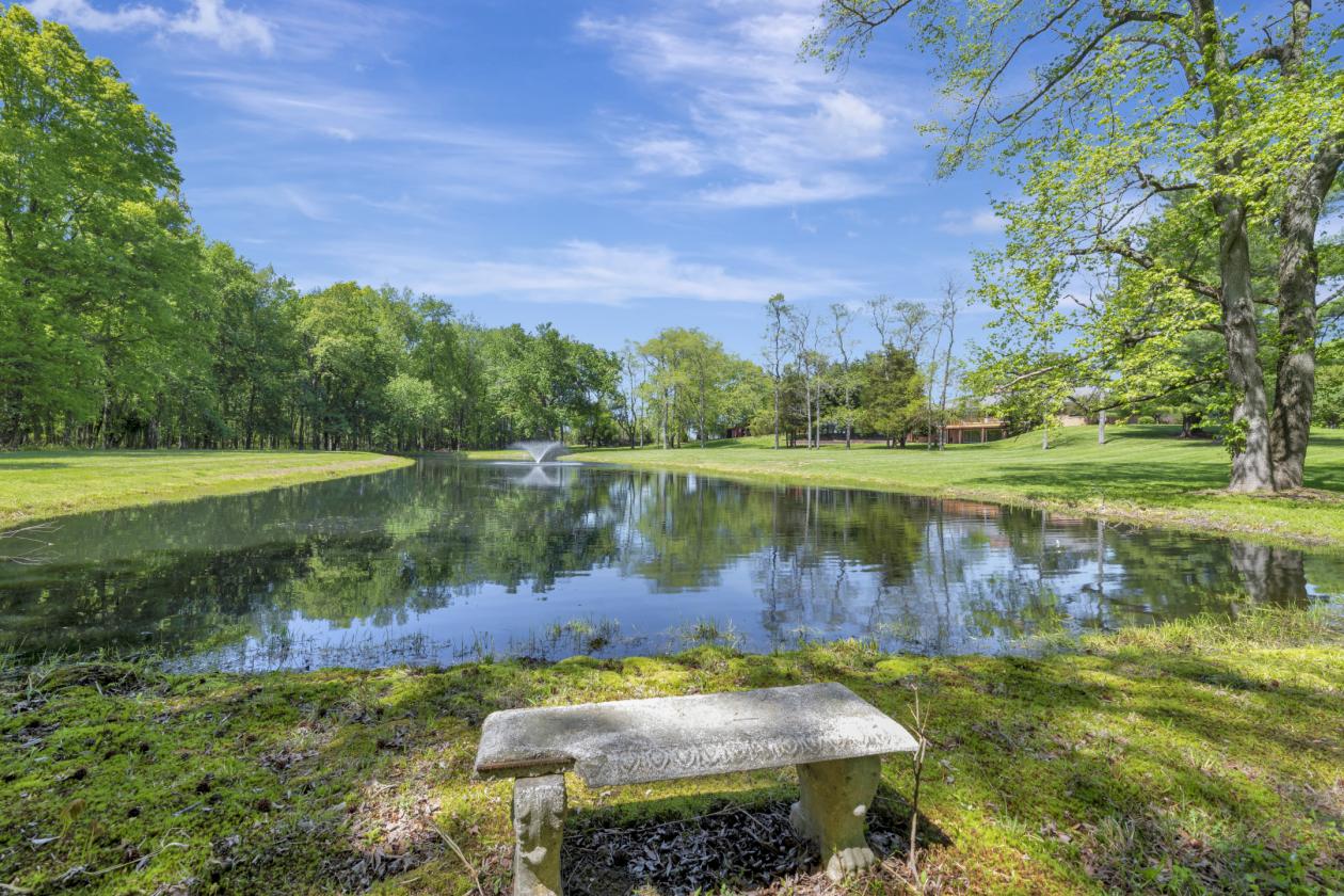 24 Acre Horse Farm - photo 4