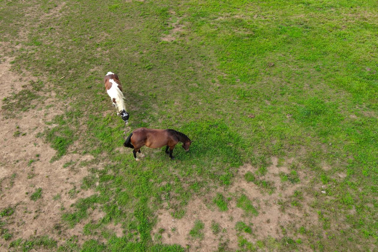 Homestead ready, horse property 2025 build - photo 20