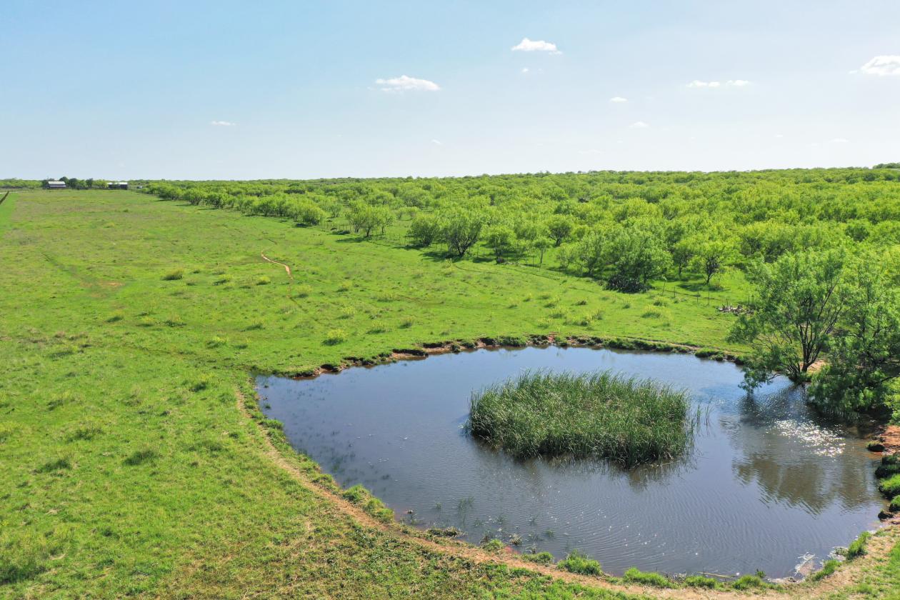 SPECTACULAR ±331 ACRE RANCH WITH MULTIPLE HOMES + - photo 22