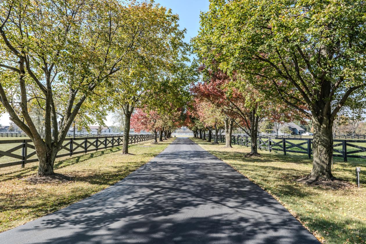ENJOY EQUESTRIAN LIVING ON THIS BREATHTAKING FARM - photo 2