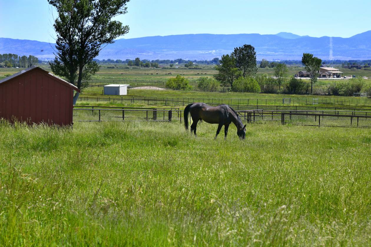 Horse Property for sale.