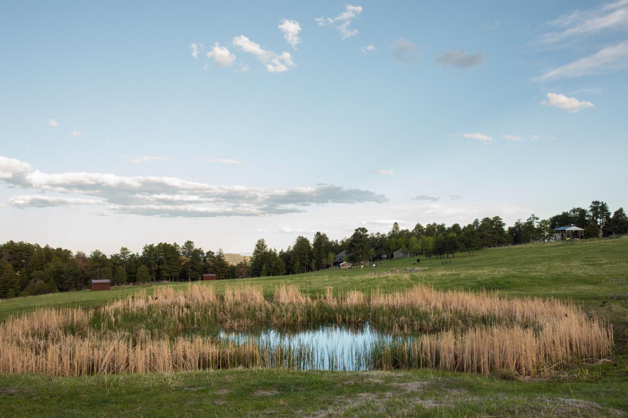 Bear Mountain Ranch - photo 27