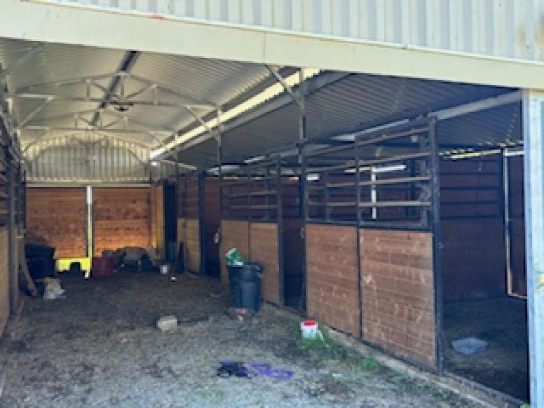 Exceptional Equestrian Breeding &Boarding Facility - photo 13