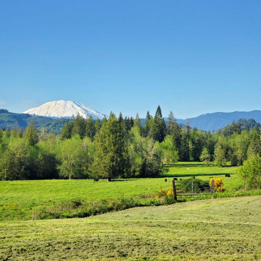 33.59 Acres with Barn, Shop & Mt. St. Helens Views - photo 5