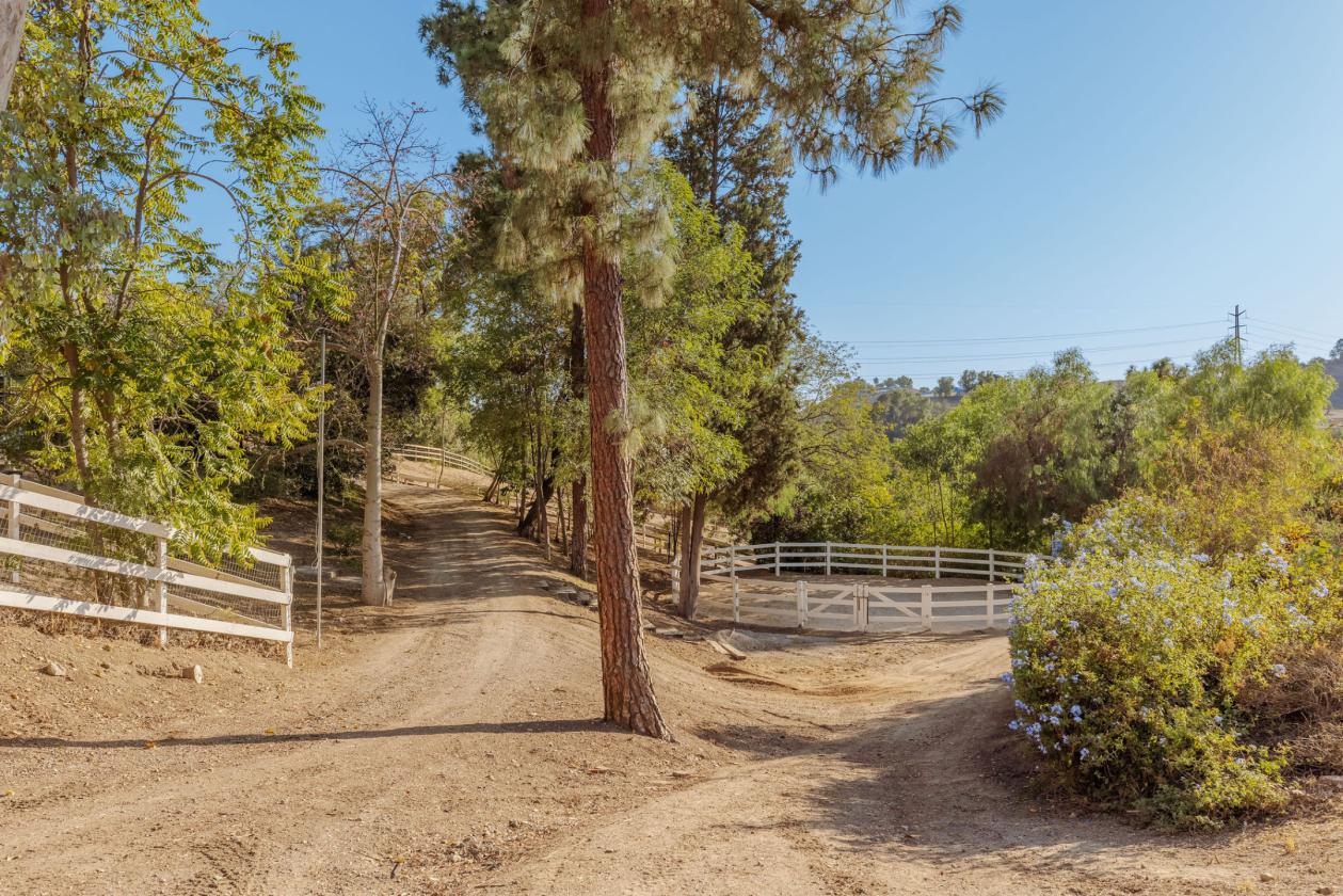 A Different Kind Of California Dream - photo 18