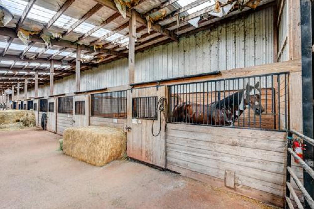 Omni Farm - photo 11