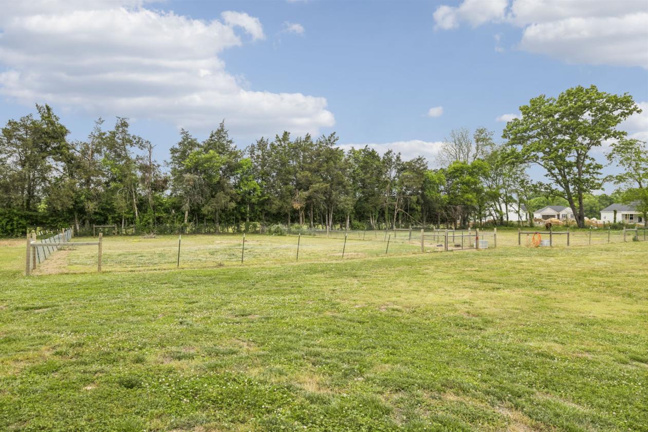 Luxury Meets Equestrian Life - photo 5