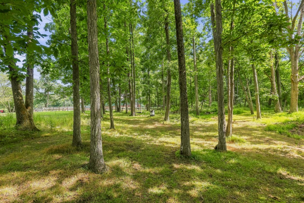 Private 5+ Acre Mountain-Top Equestrian Property - photo 29