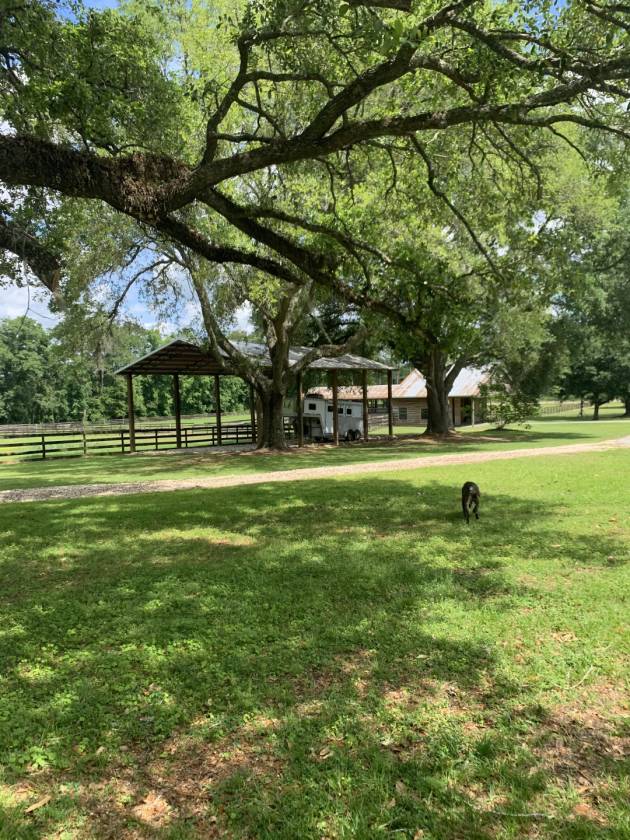 Taylor Farms Equestrian Estate One of the Finest in... Thomasville