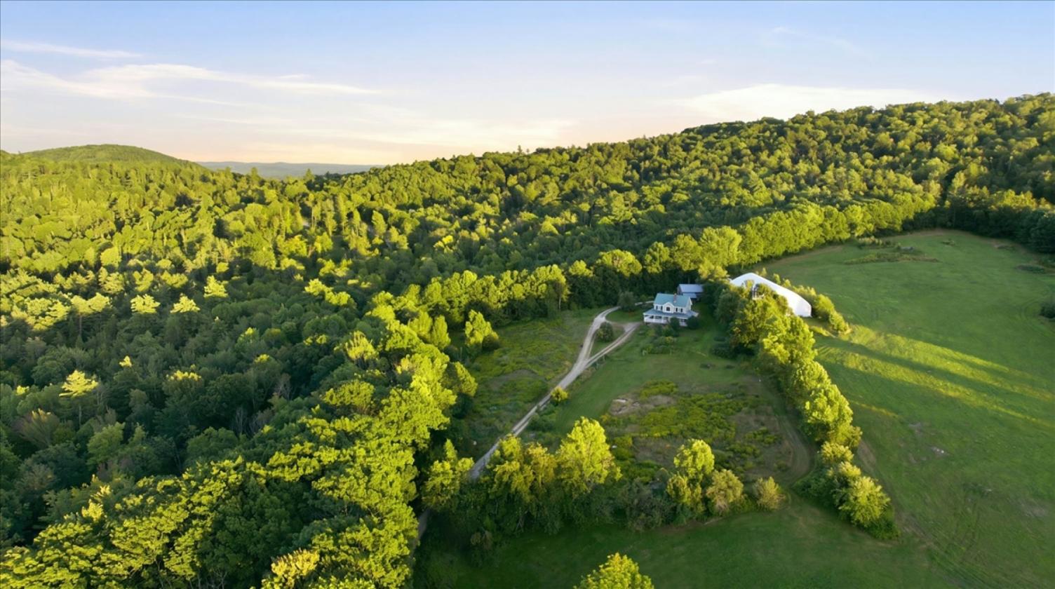 Maine Horse Farm - photo 2