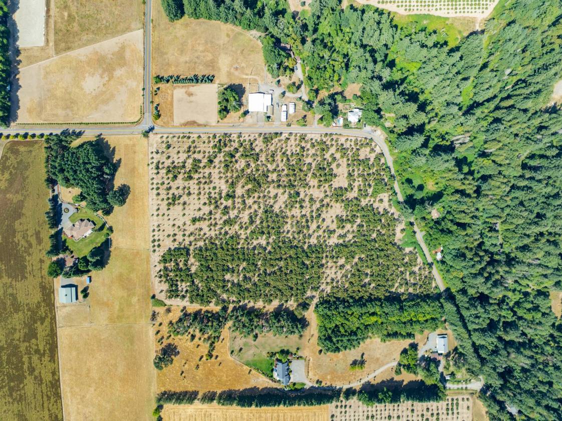2 Hazelnut lots in Sherwood Horse arena Potential! - photo 2