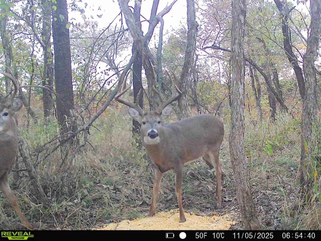 The Perry Ranch - photo 5