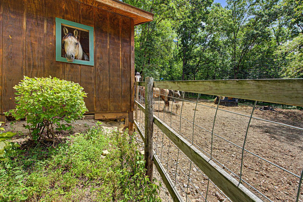 LOG HOME,The Galena Territory Equestrian Property - photo 29
