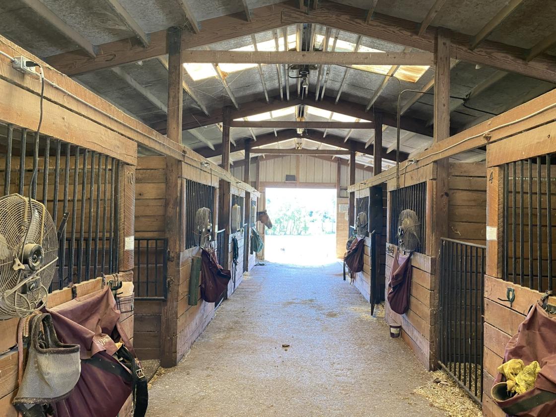 REINING - EVENTING OR WEDDING VENUE - photo 15
