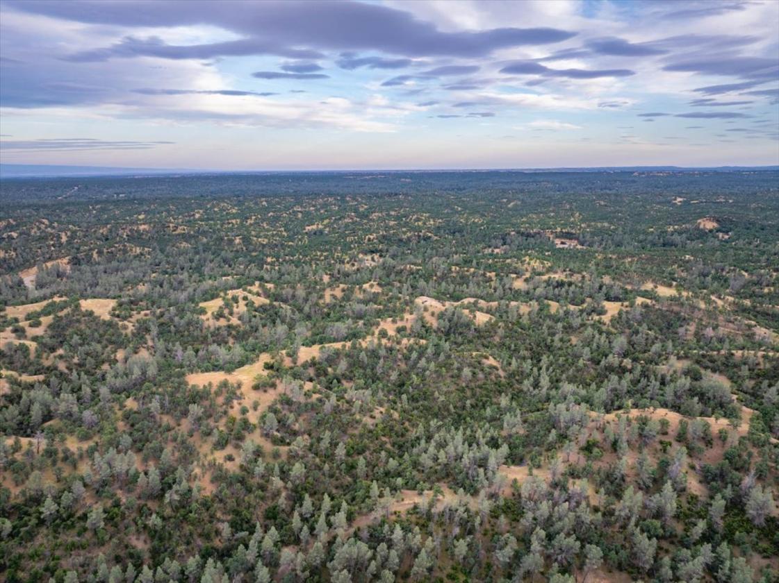 480 Acre Litte Crane Creek Ranch - photo 2