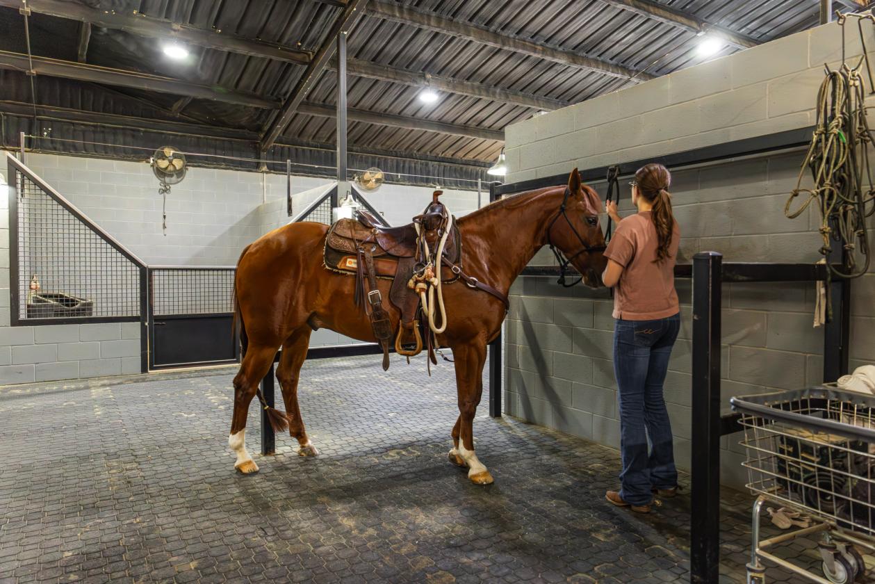 Walnut Creek Horse Ranch - photo 13