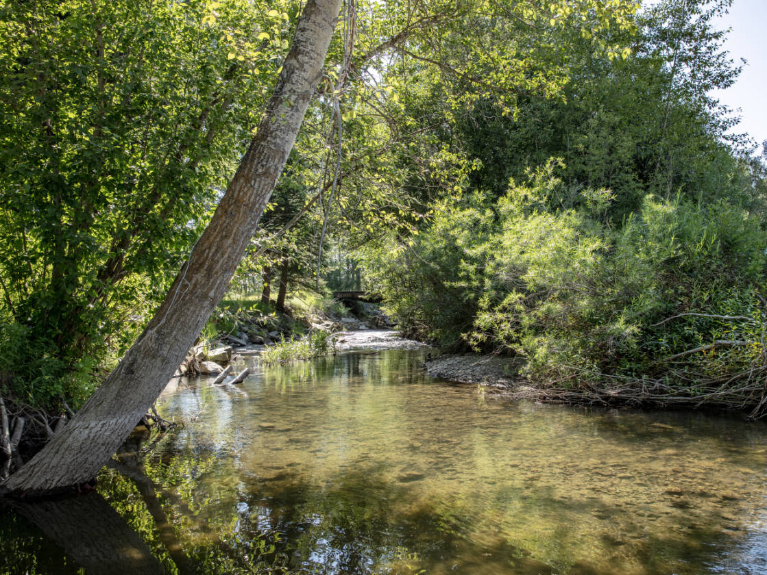 Bridger Canyon Legacy Equine Estate Bozeman, Gallatin County, Montana
