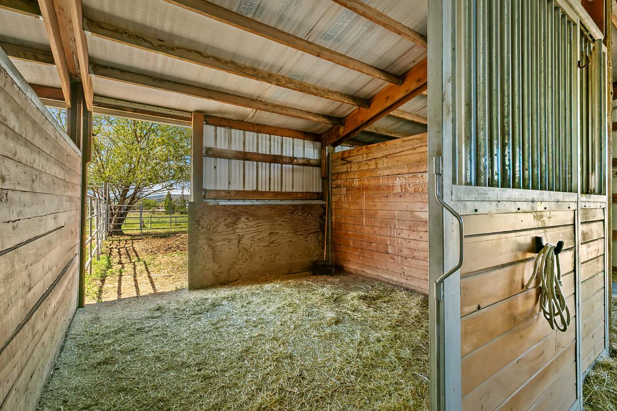 Where Horse and Rider Belong - photo 10