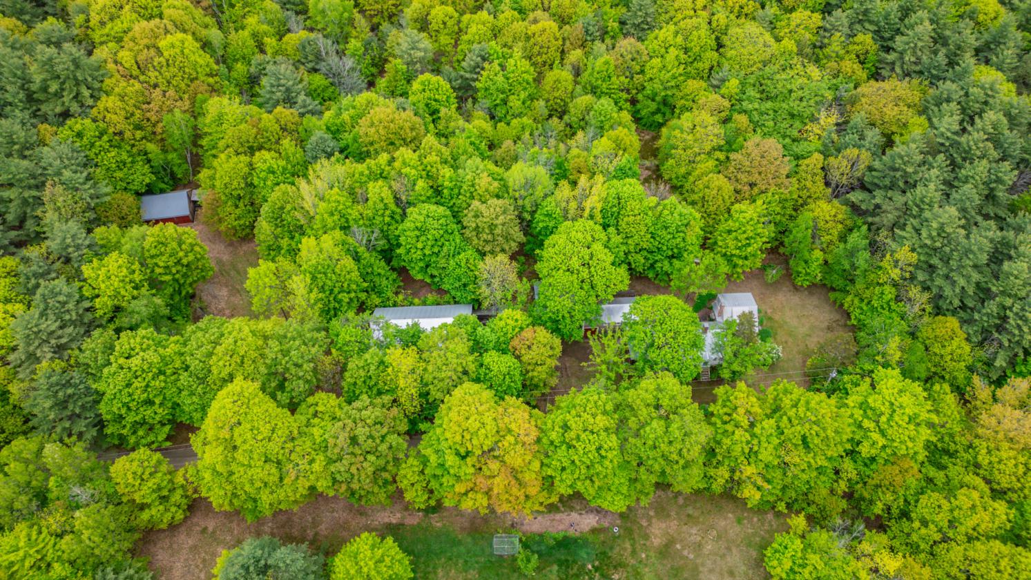 Maine Farm on New Hampshire Boarder - photo 19