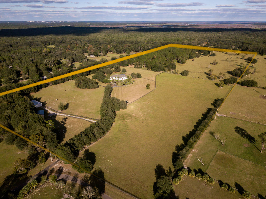 Horse Farm Gainesville, Alachua County, Florida