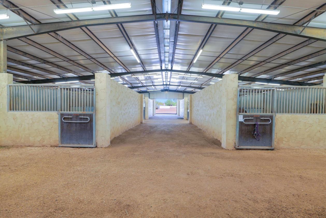 Equine Breeding, Training and Therapy Facility - photo 1