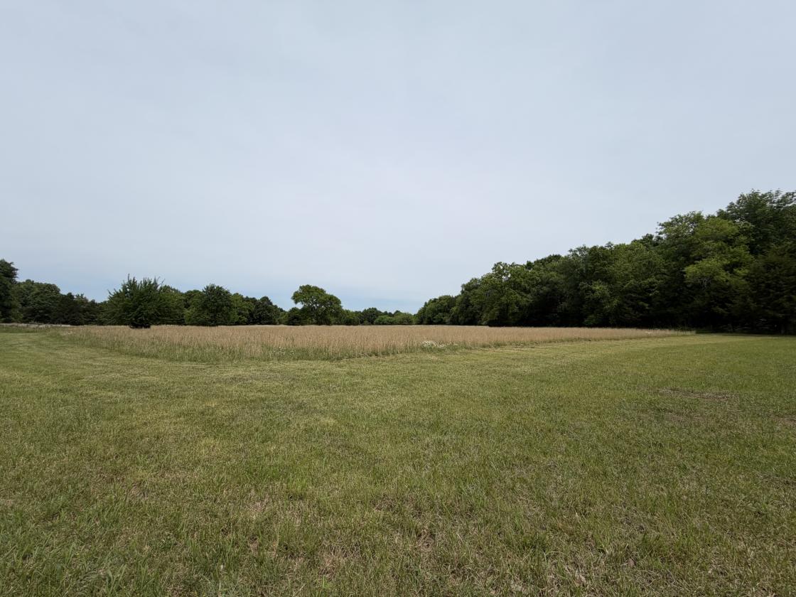 66 Acres S of NASHVILLE Barndo, Pasture & Timber - photo 12