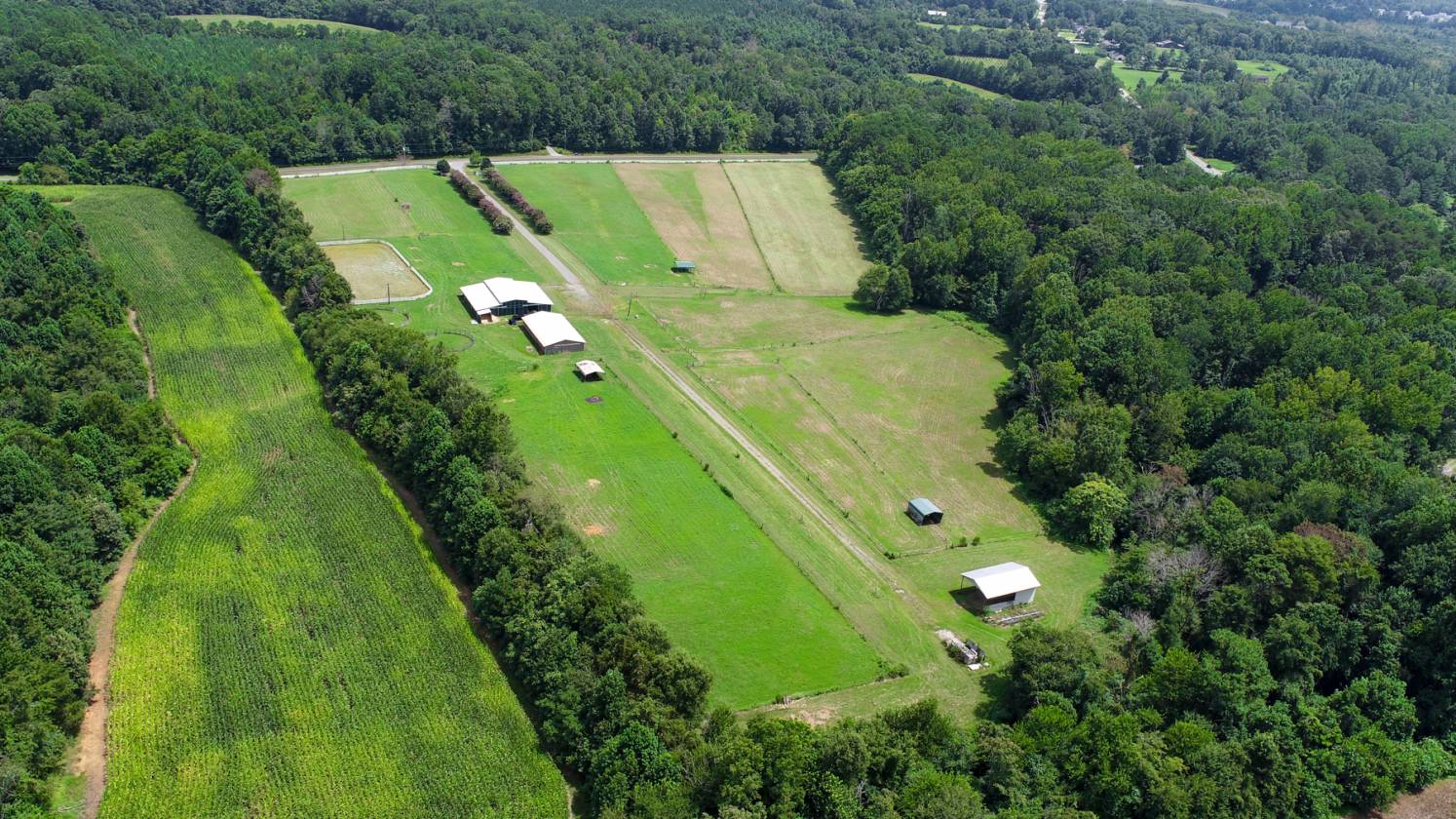 Horse Farm with potential development - photo 8
