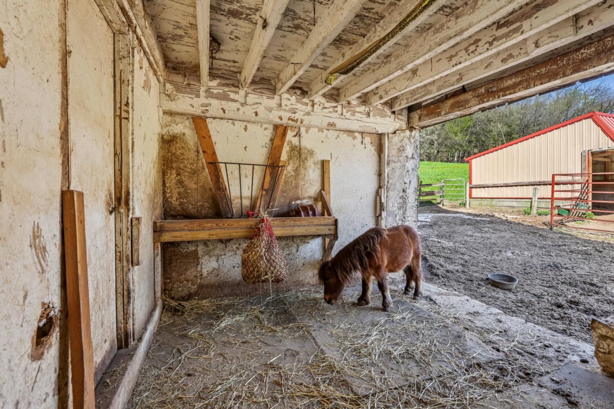 Horse Property with Business Opportunity - photo 17